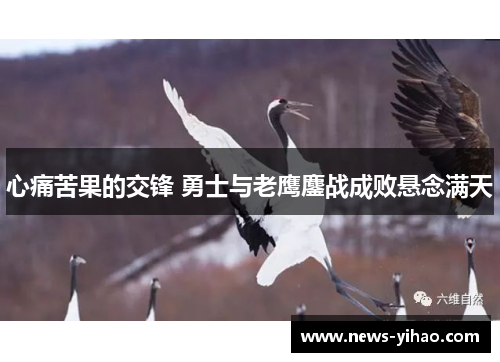 心痛苦果的交锋 勇士与老鹰鏖战成败悬念满天